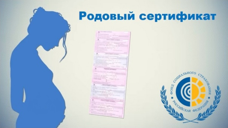 Более 38 тысяч женщин и новорожденных в Воронежской области получили услуги по родовым сертификатам в 2024 году.