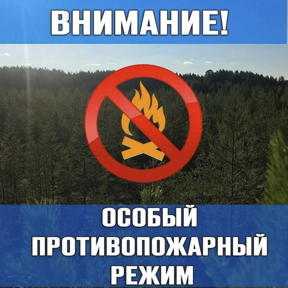 Постановлением правительства Воронежской области от 25.03.2025 N 224 &quot;Об установлении противопожарного режима на территории Воронежской области&quot; с 15 апреля 2025 года.